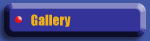 Gallery Button